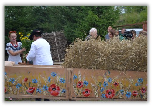 Kolorowe maki i chabry na wozie- dekoracja na dożynki